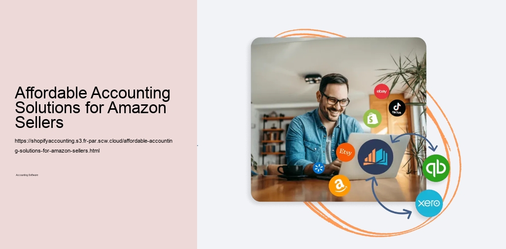 Affordable Accounting Solutions for Amazon Sellers